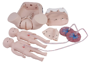 Manekin Osce Set (18 Item) - TRUSIM (A-186)