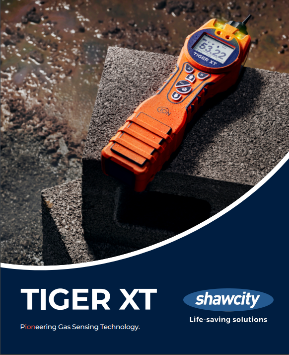 Tiger Handheld VOC Detector IONTXXXSLBMP-0004