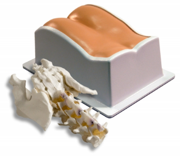 Lumbar Training Phantom CIRS - Model 034