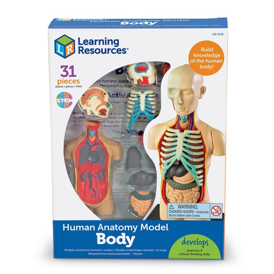 Learning Resources Anatomy Model - Human Body