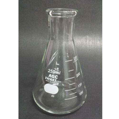 Erlenmeyer Flask NM 250ml Iwaki