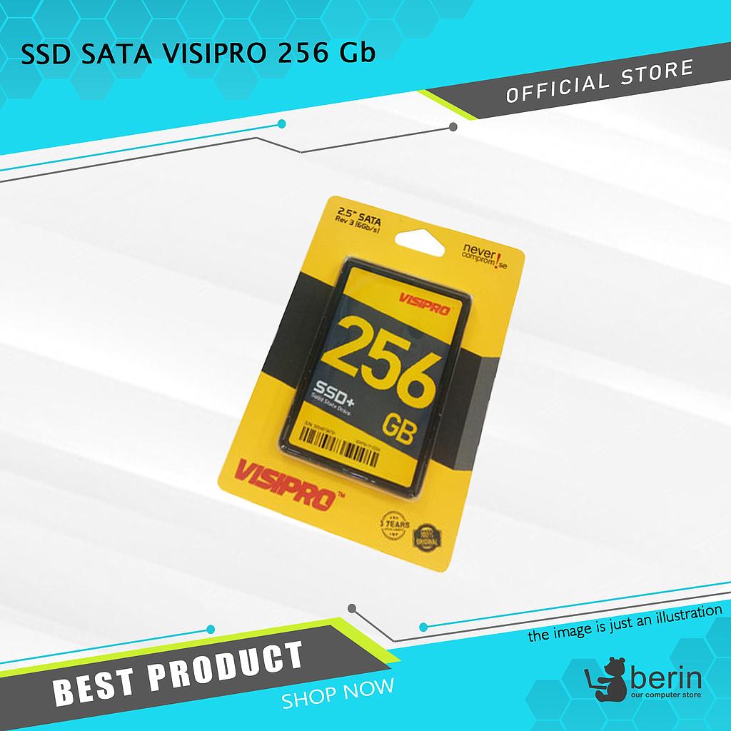 SSD SATA VISIPRO 256 Gb (NON TKDN)