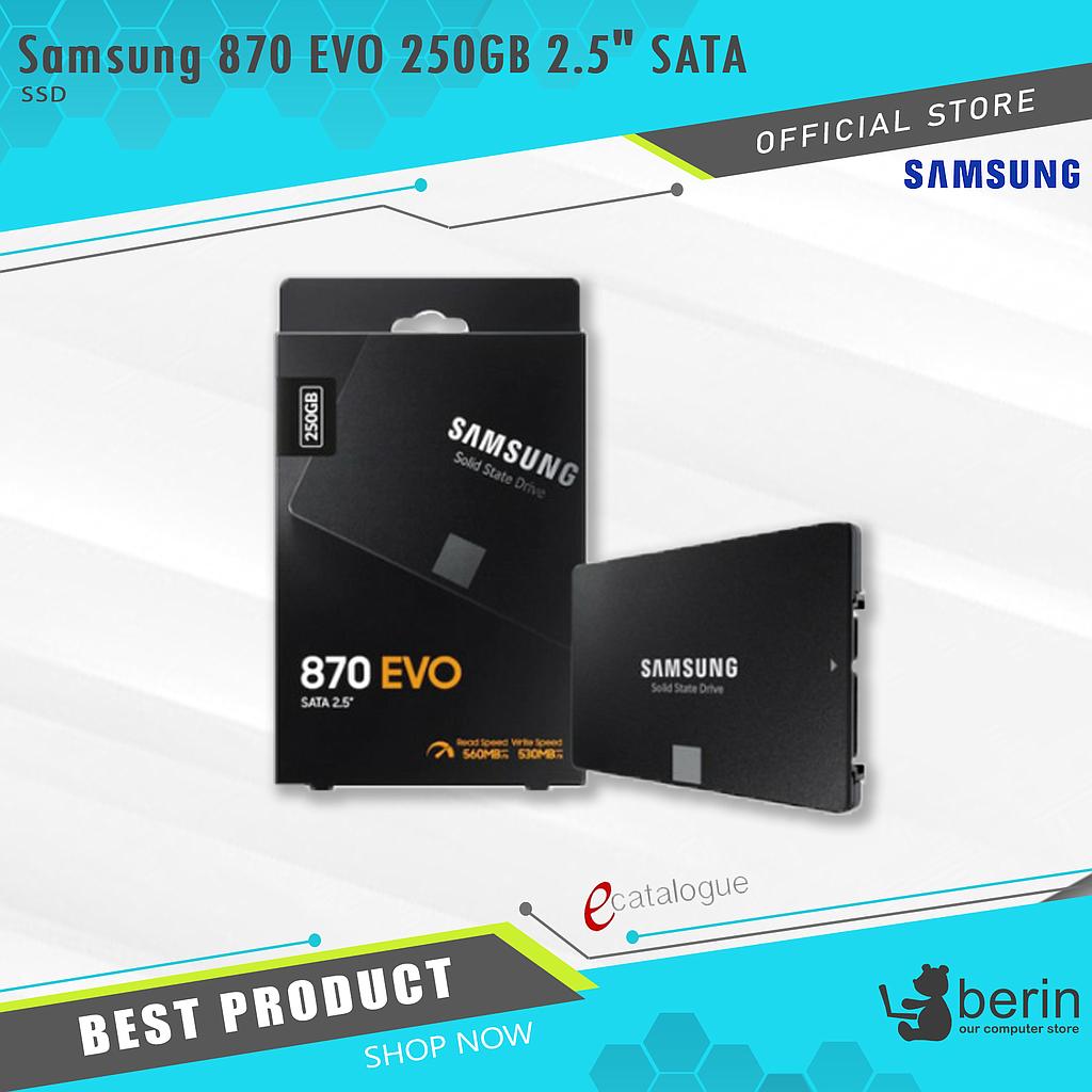 Samsung SSD 870 EVO 250 GB SATA