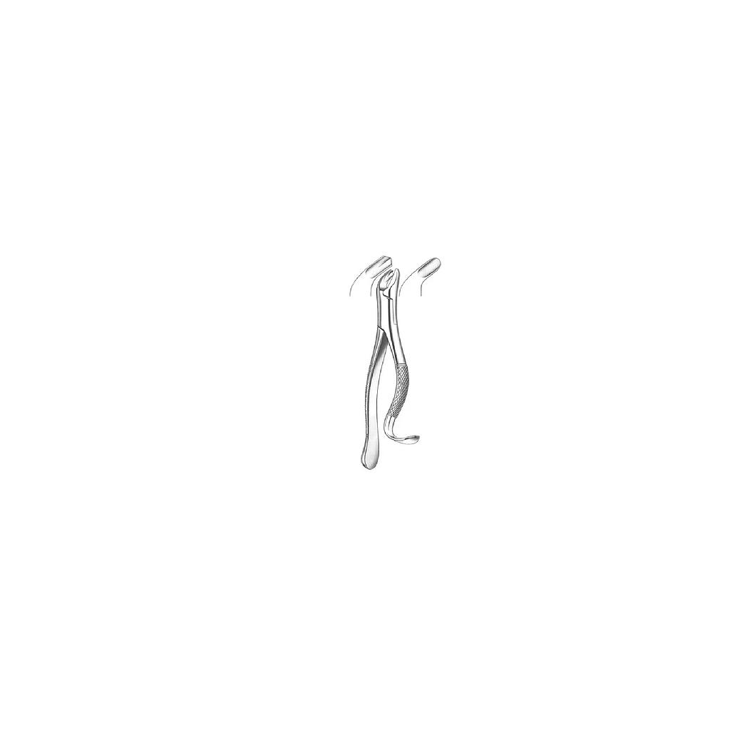 Tooth Forcep Medesy 2600-18L