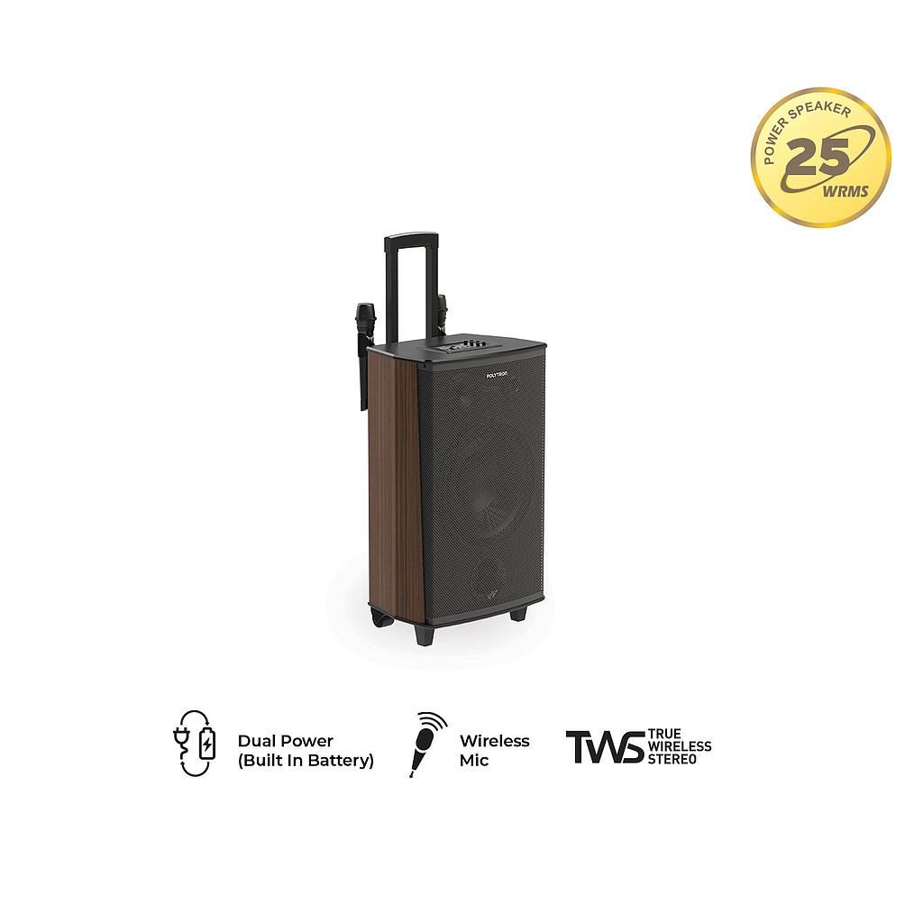 POLYTRON Speaker Professional Active PASPRO10F6