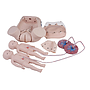 Manekin Osce Set (18 Item) - TRUSIM (A-186)