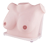Manekin Osce Set (18 Item) - TRUSIM (A-186)