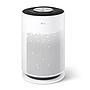 LG Puricare Air Purifier 360˚ HIT AS60GHWG0